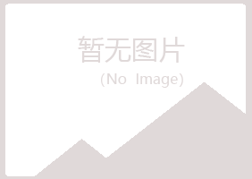 庐山区白易会计有限公司